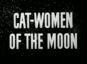 Photo de Cat-Women of the Moon 9 / 22