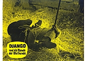 Photo de Django the Bastard 10 / 17