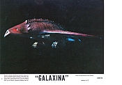 Photo de Galaxina 4 / 54