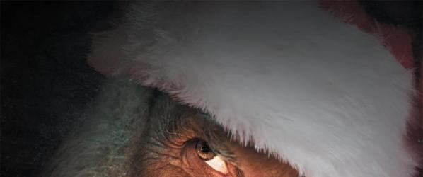 Sortie de la semaine  PERE NOEL ORIGINES