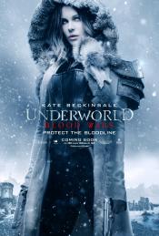 Photo de Underworld: Blood Wars 18 / 26